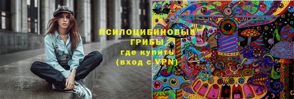 гидра Пересвет