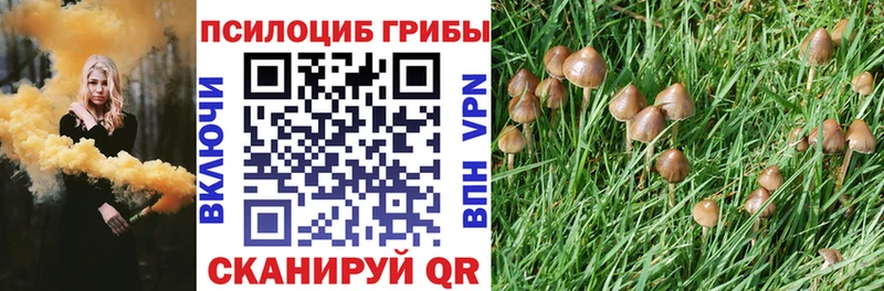 кракен как зайти  дарнет шоп  Березники  Галлюциногенные грибы MAGIC MUSHROOMS 